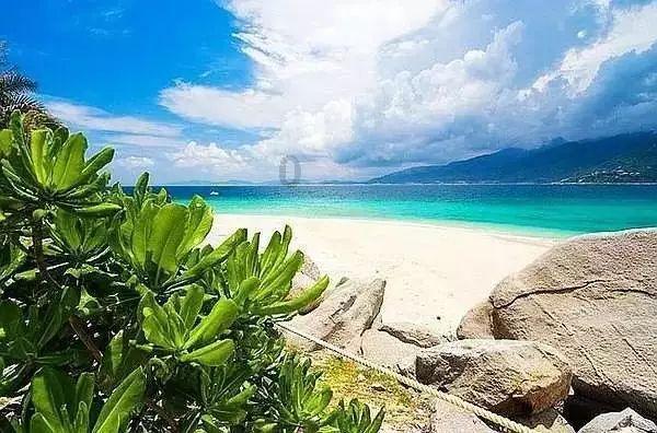 年后反转埋伏啥?游戏ETF:三大特点+政策转风